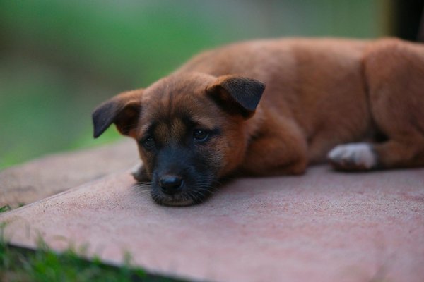 How Can Embracing Minimalism Transform Your Living Space?